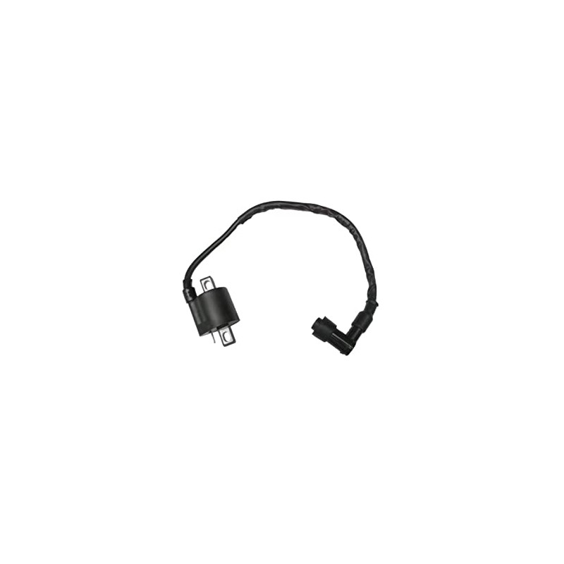 Ignition Coil Compatible with Yamaha ATV Big Bear 350 YFM350