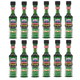 Lucas Oil 10670 Safeguard Ethanol Fuel Conditioner w/ Stabilizers 5.25oz 12 pack