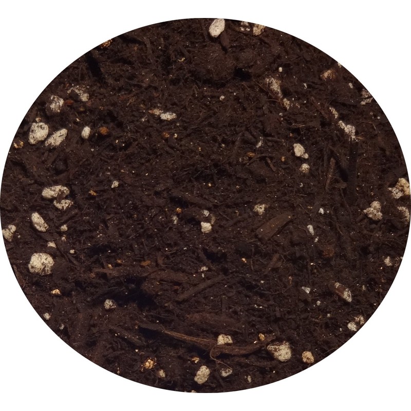 Shizen Oyo Kagaku (Applied Natural) Maku Dakede Yomigaeru (Revive with
