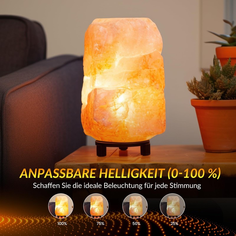 BrightWish Oven Lamp E14-42W - 300°C - Dimmable - Pack