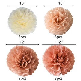 12pcs Tissue Paper Pom Poms Flowers Blush Pink Rose Paper Flowers Ceiling Wall Hanging Decorations for Wedding,Birthday,Baby Shower,Party