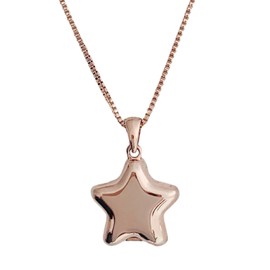Honeycat Polly Star Locket Necklace in Gold, Rose Gold, and Silver Minimalist, Delicate Jewelry (Rose Gold)