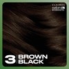 Clairol Natural Instincts Demi-Permanent Hair Dye, 3 Brown Black Hair