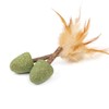 CanadianCat Company Cat Toy Catnip with Matatabi Sticks & Feather
