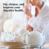The Republic of Tea Organic Hibiscus Beet Ginger SuperDigest Tea®