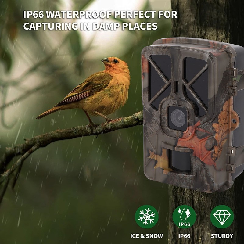 Trail Camera Professional 4K 36MP Infrared Night Vision 2.4 Inch