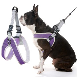 Gooby Simple Step In III Harness - No Pull Small Dog Harness with Scratch Resistant Outer Vest - On the Go Soft Inner Mesh Dog Harness for Medium Dogs No Pull and Small Dogs for Indoor and Outdoor Use