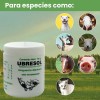 Balsamo Blanco Y Pomada Para Golpes Ubresol