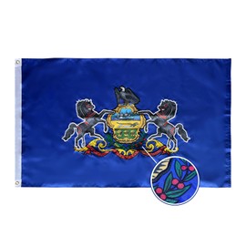 FLAGPARK Pennsylvania State Flag 3x5 Ft, Deluxe Embroidered Heavy Duty Nylon Durable PI Outside Flags, Indoor/Outdoor, Sewn Stripes and Brass Grommets