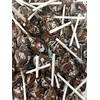 Chocolate Pops Bulk Candy 50+ Count Lollipops Suckers Variety Brown