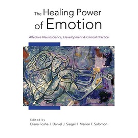 The Healing Power of Emotion: Affective Neuroscience, Development & Clinical Practice (Norton Series on Interpersonal Neurobiology)