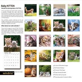 2024 2025 Wall Calendar,Calendar 2025, July 2024 - December 2025, Wall Calendar Cat Kitten, 12" x 24" Opened,Full Page Months Thick & Sturdy Paper for Gift Kids Teen Calendar Organizing & Planning