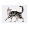 'Prancing Gray Tabby Cat' Temporary Tattoo - Water Resistant, Skin-Safe,