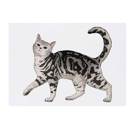 'Prancing Gray Tabby Cat' Temporary Tattoo - Water Resistant, Skin-Safe, Non-Toxic Transfer (TO00079761)