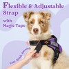 rabbitgoo Dog Harness for Large Dogs, No Pull No Choke