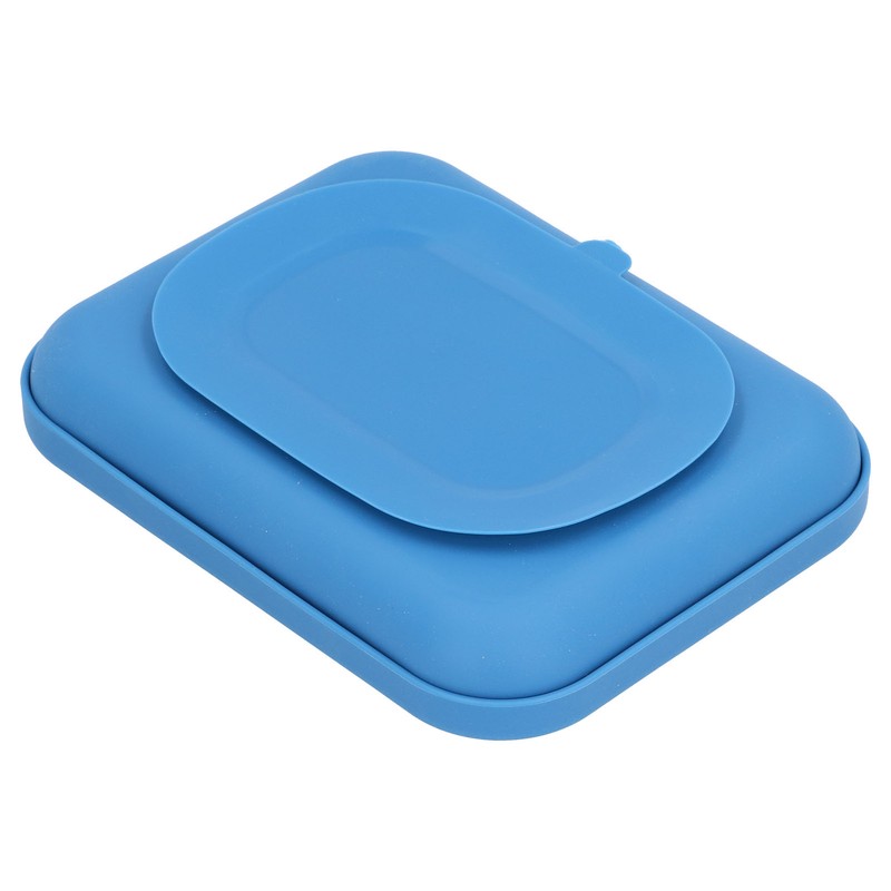 Baby Silicone Divided Food Plate with Lid Drop Resistant Suction