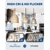 Nouscan 300W Equivalent LED Light Bulb, 4060LM Super Bright A23