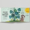 Books 5 Minute Nature Story Box