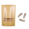 Carolina Praying Mantis Egg Case with Hatching Habitat Bag –Includes