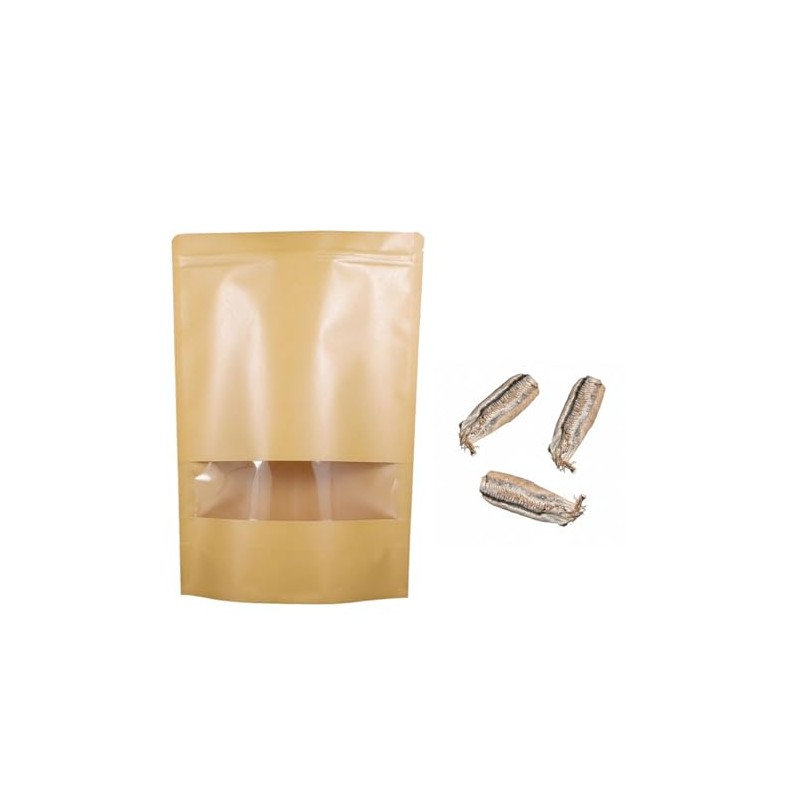 Carolina Praying Mantis Egg Case with Hatching Habitat Bag –Includes