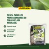 ALGOFLASH NATURASOL Refill Pack Caterpillar Trap Pine Process Tran