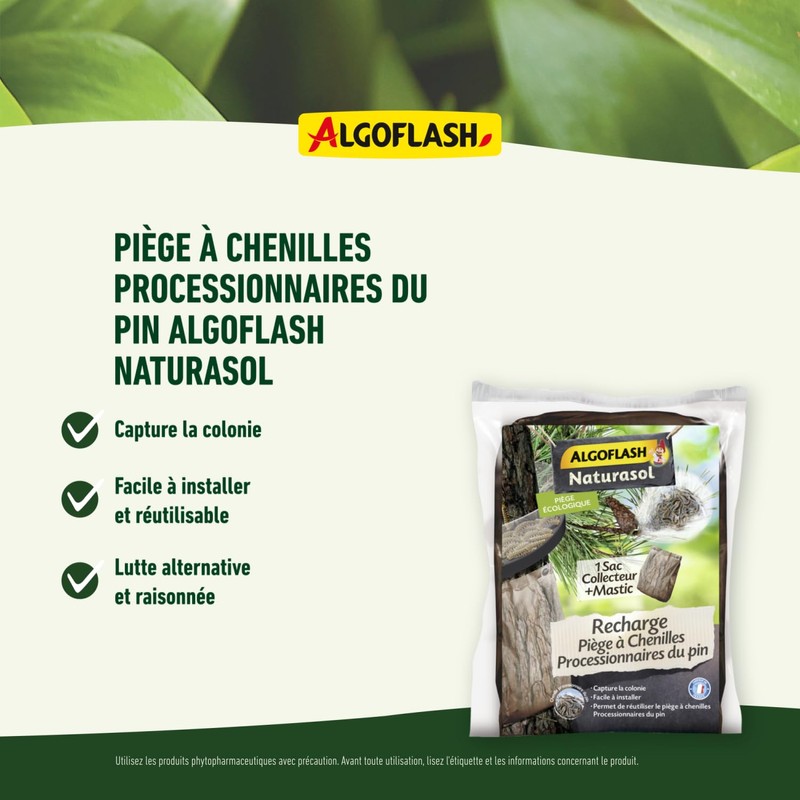 ALGOFLASH NATURASOL Refill Pack Caterpillar Trap Pine Process Tran