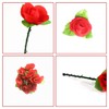 Coollooda Flower Magic Roses, Surprise Magic Set, Set of 5,