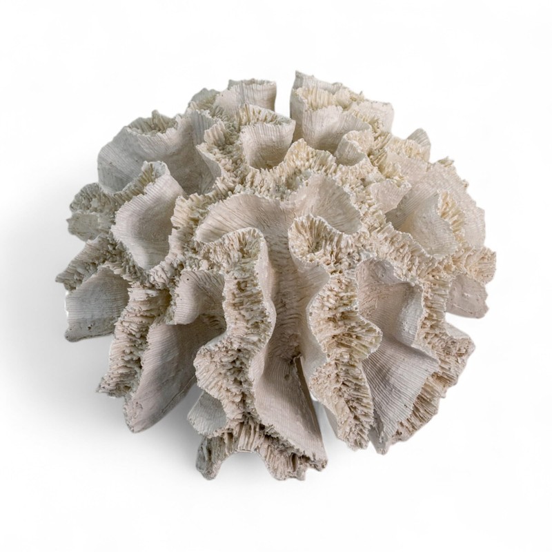 Artificial Coral Round 20 x 9 cm White Sea Decoration