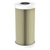 Pentair Pentek ECP5-BB Sediment Water Filter, 10-Inch, Whole House Heavy