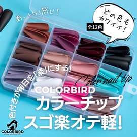 COLORBIRD Nail Tip, Long, 12 Colors, 240 Pieces, Black, Pink, Blue, Sea, Pool, Nail Tip, Simple, Stylish (Ballerina L Matte)