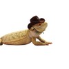 Carolina Designer Dragons' Bearded Dragon Cowboy Hat, Brown