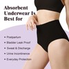 IRISMORII Leak Proof Incontinence Underwear for Women Washable Absorbent Bladder