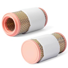 Esttlamer 2Pcs 73824 Filter Compatible with Massimo Buck 450 T-Boss 410 T-BOSS 550 560 750 760 Motorcycle Washable Parts