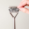 Leaf Shave | Leaf Single-Edge Safety Razor Blades, Platinum-Coated Stainless