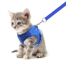 meioro Dog Harness with Lead, Reflective Soft Padded Dog Harness, Breathable, Adjustable Chest Harness for Small, Medium, Puppies, Cats, Black Vest (Blue, S - Chest: 30-34 cm)