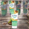 St. Ives Skin Softening Powder Scrub Scrub Avocado & Honey 6pcs 170g / 세인트이브스 피부소프트닝 파우더스크럽 스크럽 아보카도 앤 허니 6개 170g