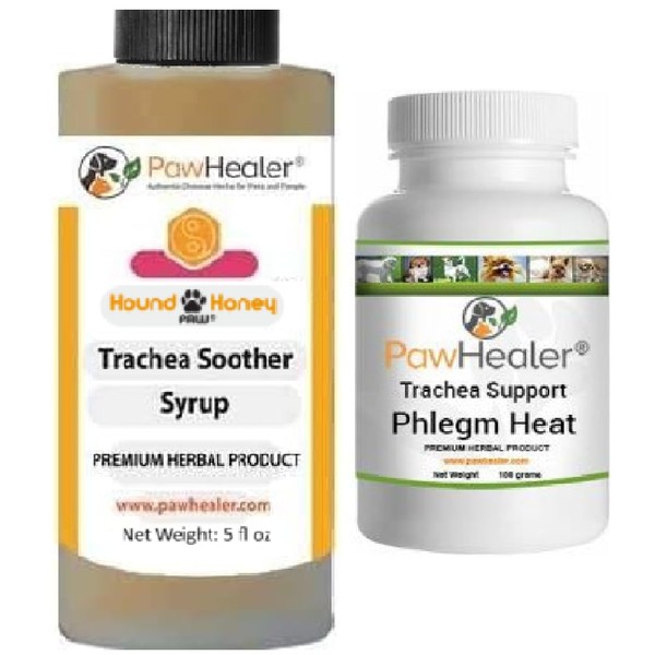 Trachea Soother Syrup Bundle with Trachea Support: Phlegm Heat -