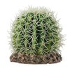 HOBBY Terraristik Cactus Sonora M I 15 x 15 x