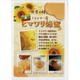 Rosemey Myanmar Sunflower Honey, 6.3 oz (180 g)