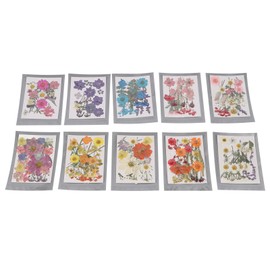 18Pcs Pressed Flowers Dried Leaves Bulk Kit for Crafts Resin Mould Scrapbooking DIY Accessories