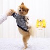 MAYPET Sudadera para Perro de Rayas Azules y Blancas con