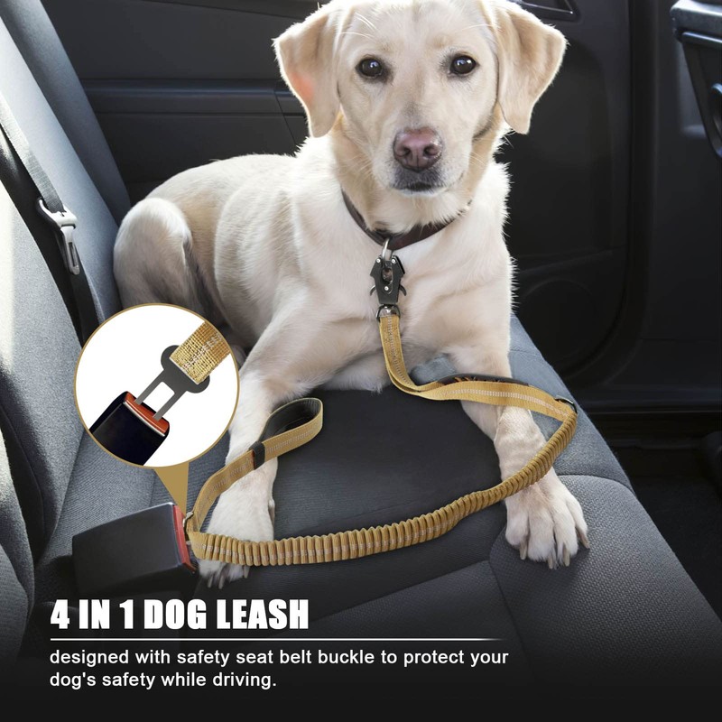 Raipult Heavy Duty Tactical Bungee Dog Leash, 4-6FT No Pull