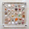 Dekori Shell Display Box Transparent Magnetic Mini Shell Box Waterproof