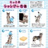 ペティオ (Petio) ペッツスマイルド 泡で洗うリンスインシャンプー ふわっとやわらか 犬用 350ml