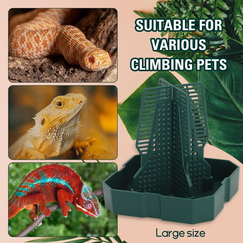 Chameleon Feeding Bearded Dragon Bug Bowl Reptile Feeder Box with