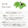 Natuhouse Mulberry Leaf Tea Made in Japan Organic 0.07 oz