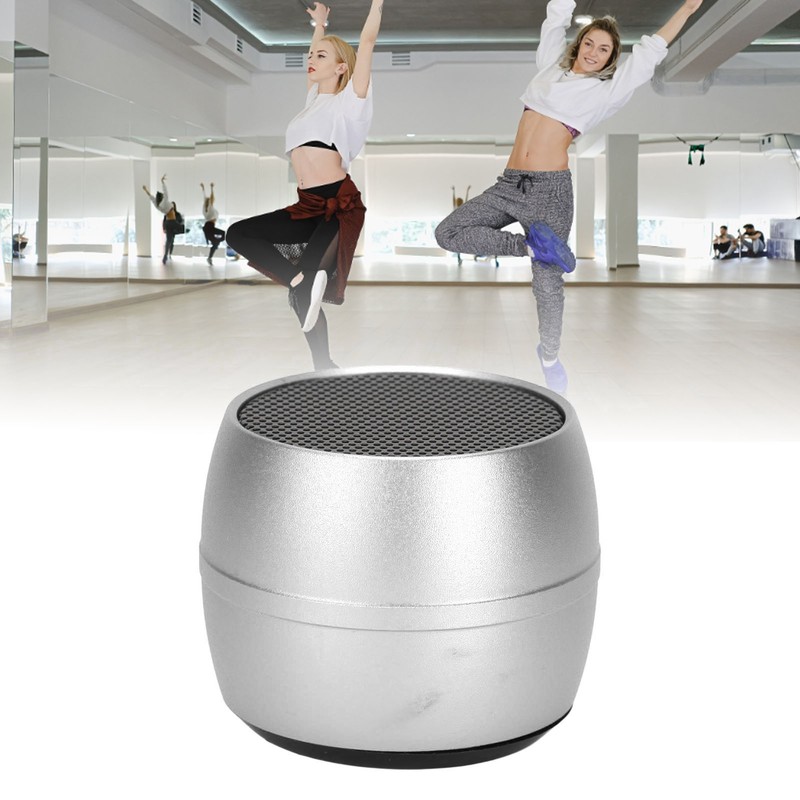 Mini Bluetooth Speaker IP67 Waterproof USB Charging Built in Mic