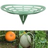 Jashem 10 Packs Melon Cradle Pumpkin Stand, Harvest Basket, Garden