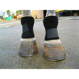 Bedsore Boots for Horses -Equine Leg Protection for Pressure Sores & Ulcers- Neoprene Stall Boots, Heal Wounds Faster, Easy On/Off, Washable & Air-Dry