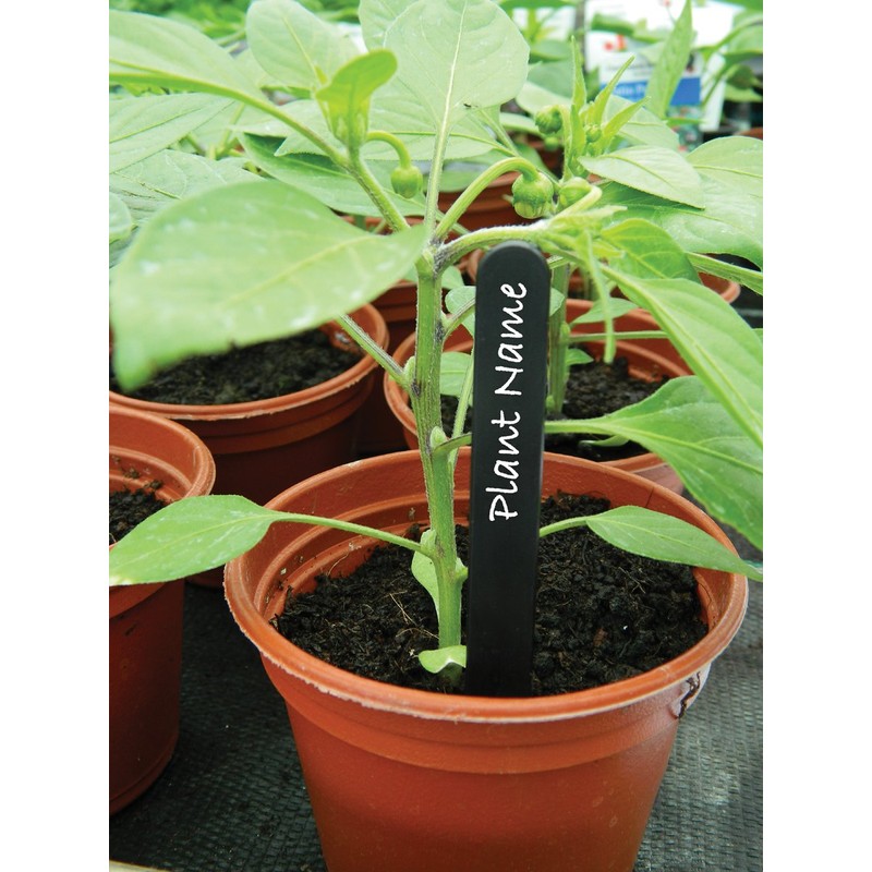 Garland W0873 20cm (8") Plant Labels (20) (Black)